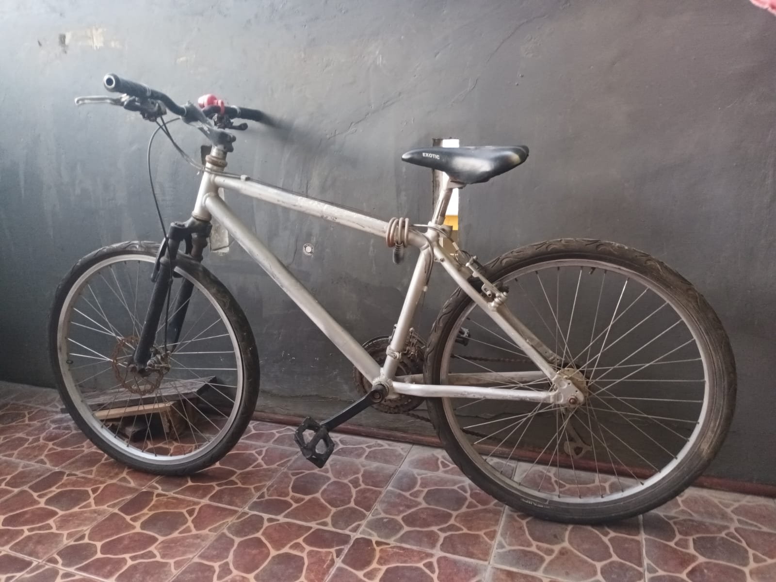 Sepeda Poligon (bekas)